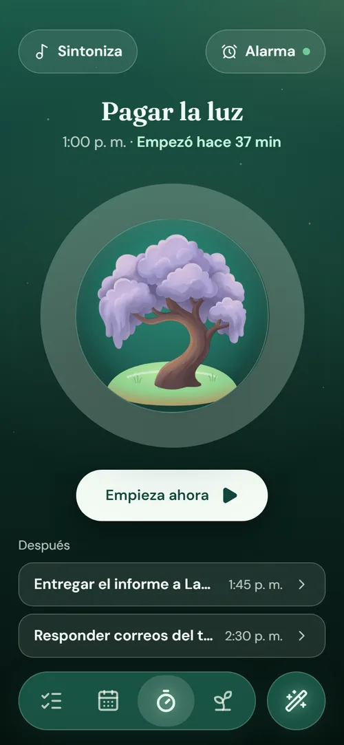 La app: un solo paso con temporizador
